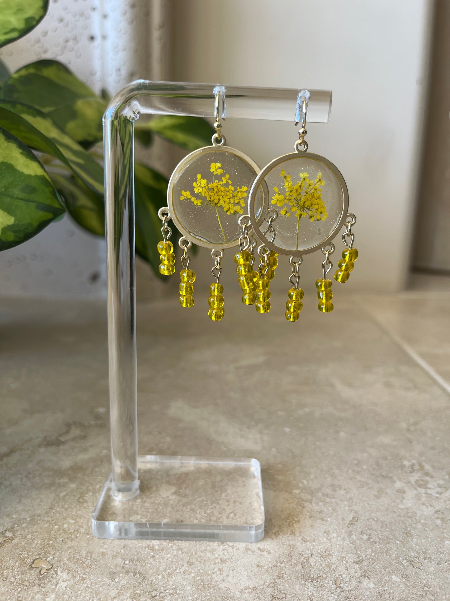 yellow queen anne's lace