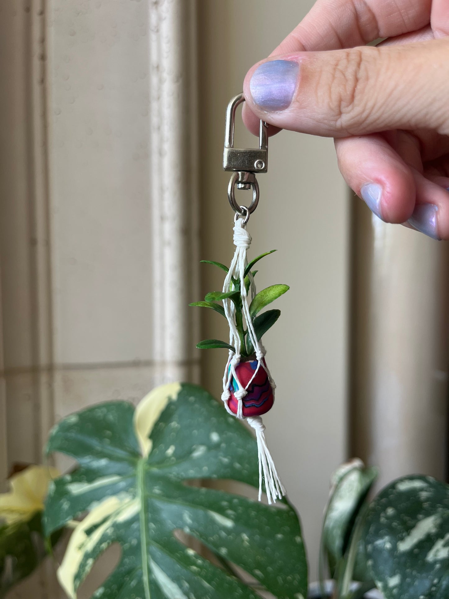white string - mixed pot