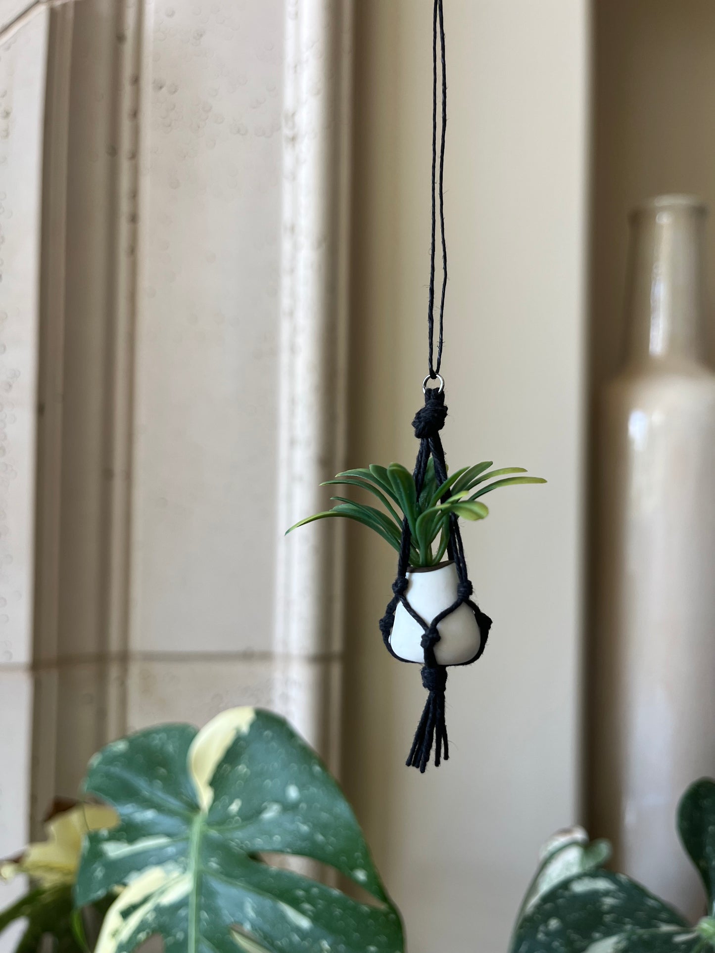 black string - white pot