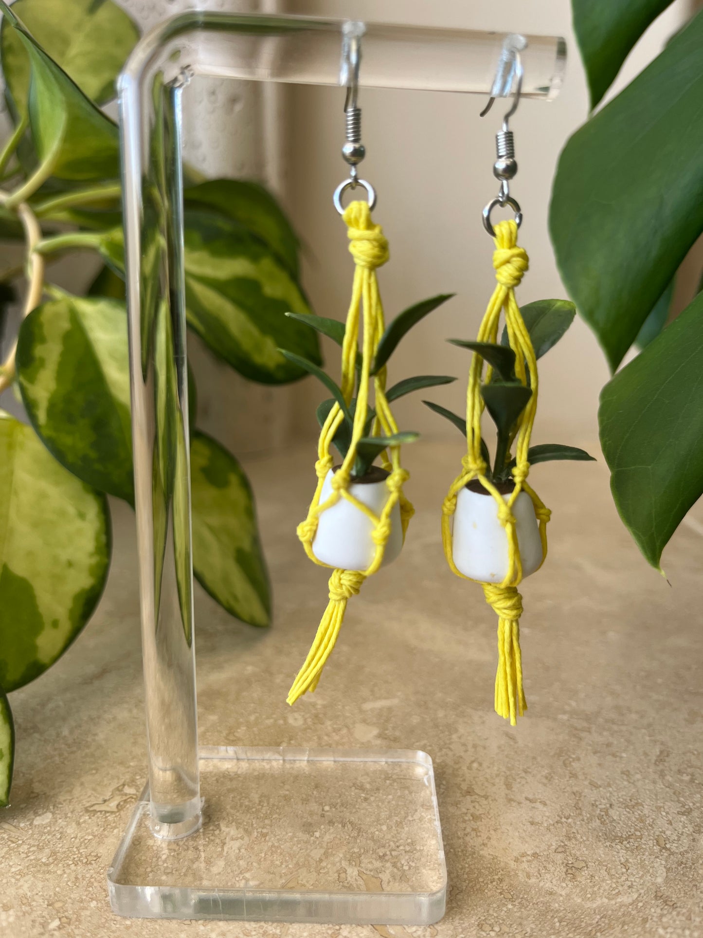 yellow string - white pot