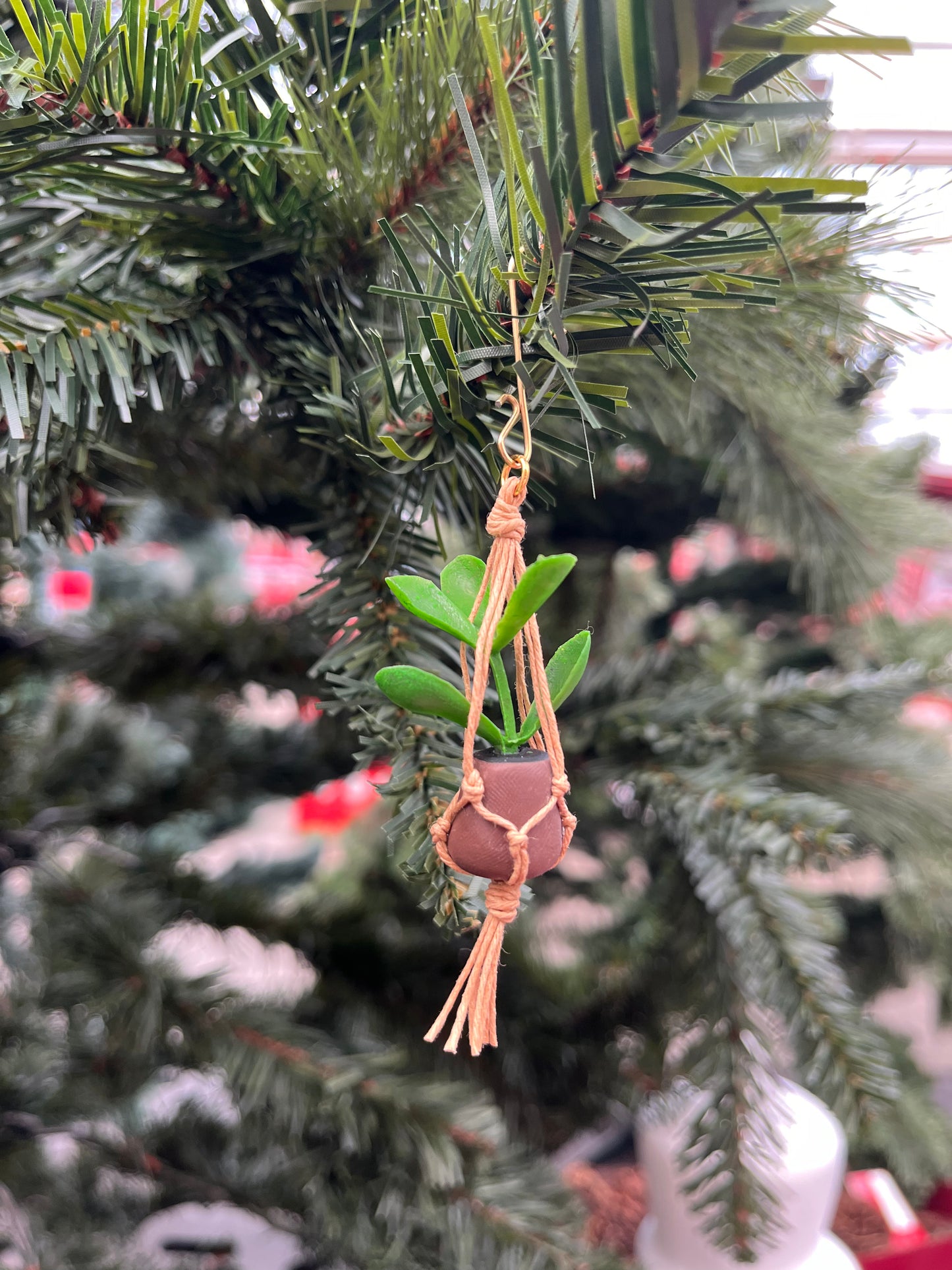 brown string - brown pot