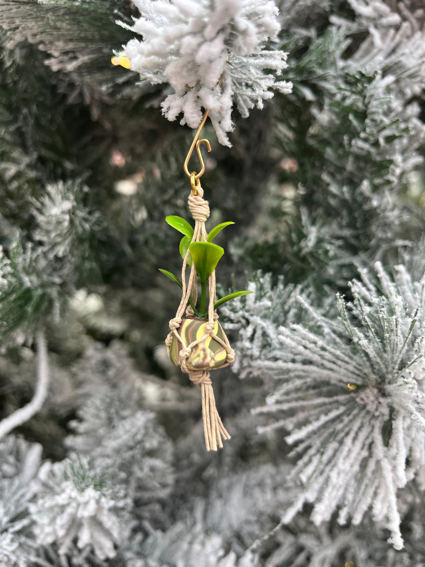 tan string - mixed pot