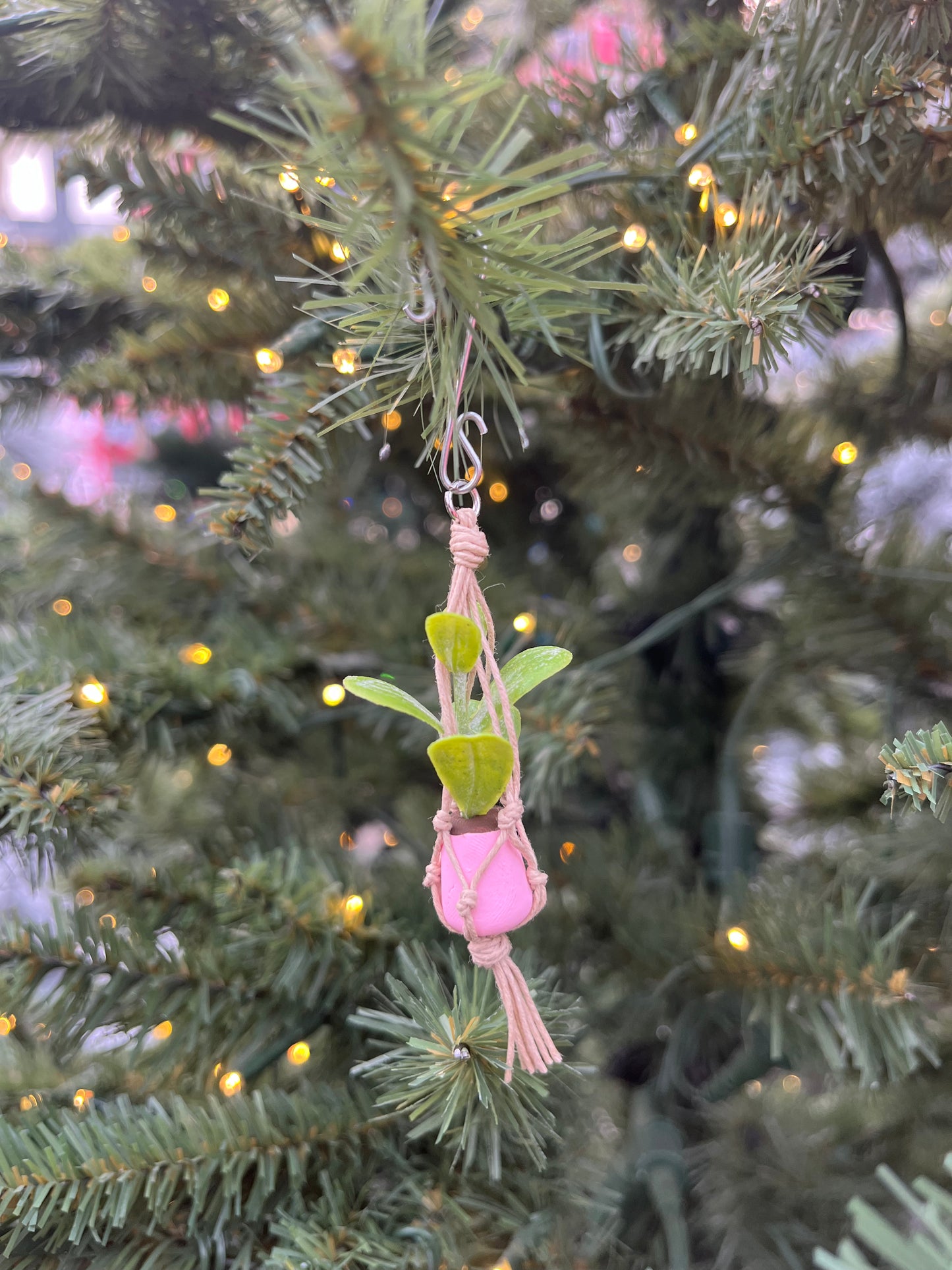 tan string - light pink pot