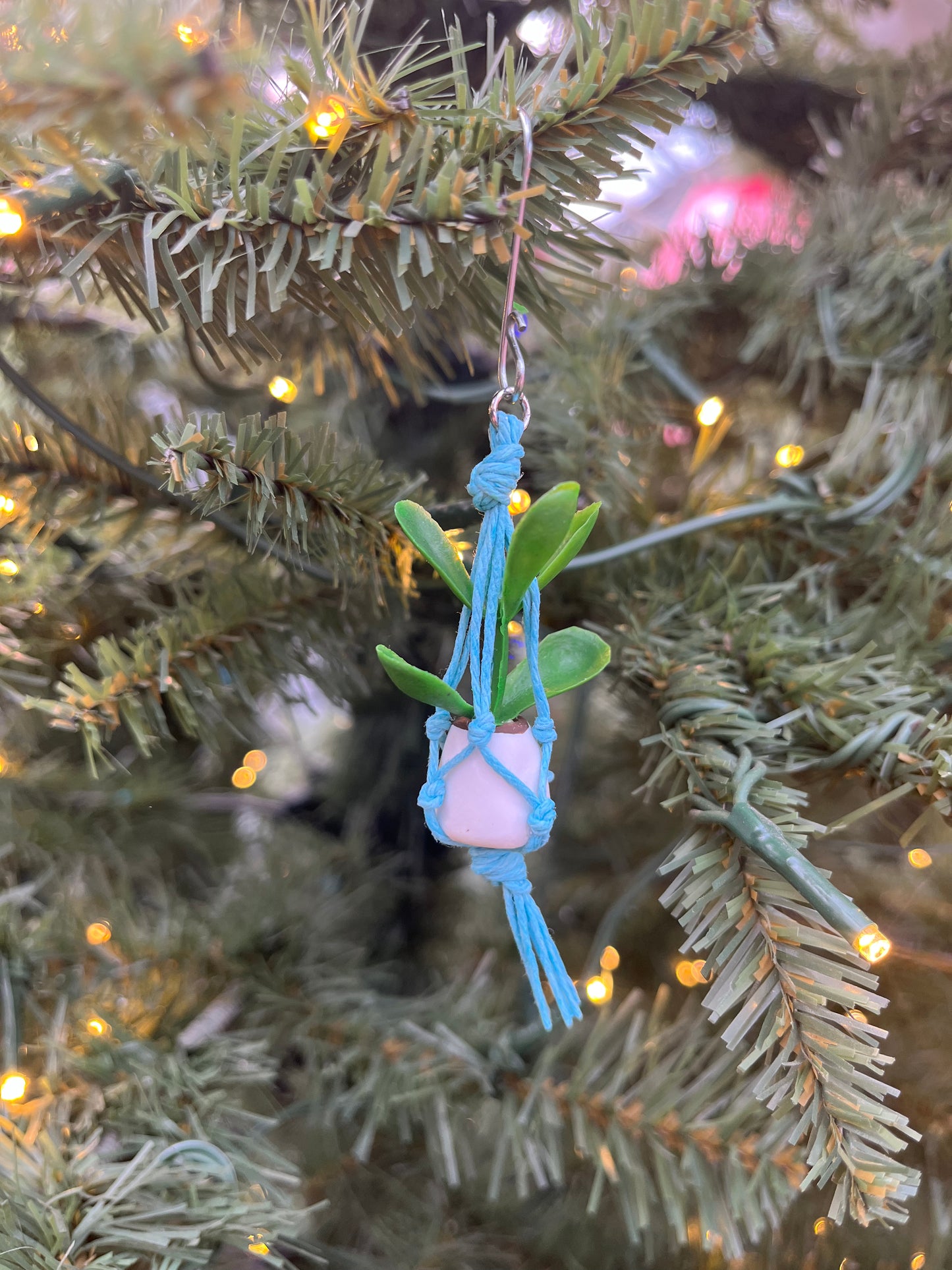 blue string - white pot