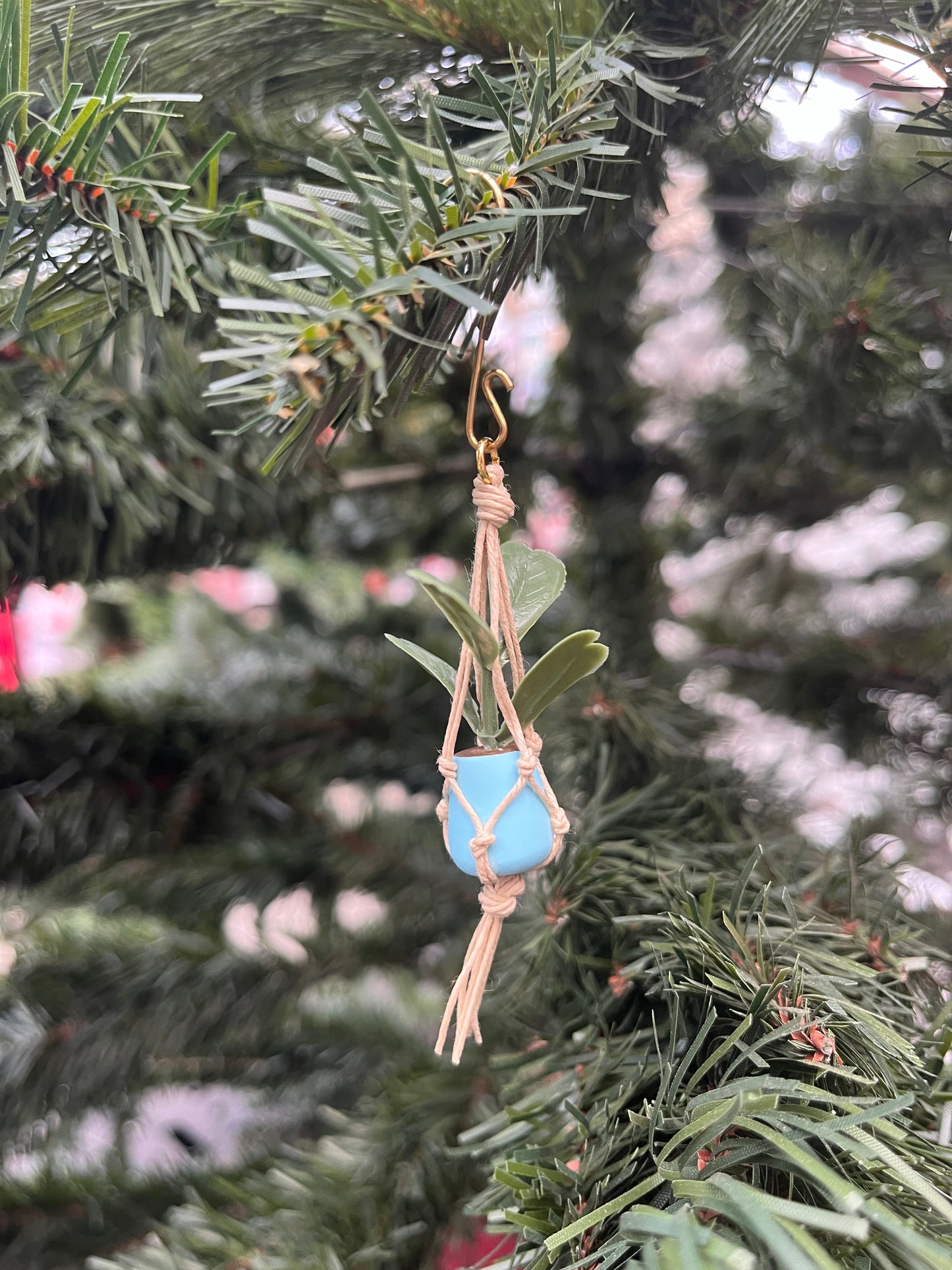 tan string - blue pot