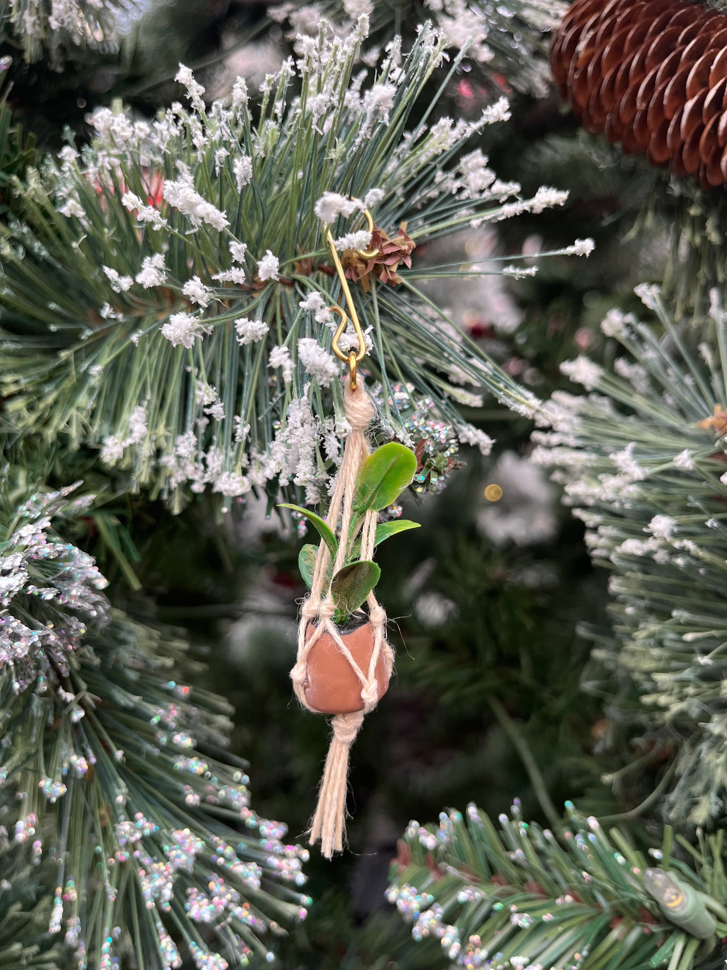 tan string - brown pot