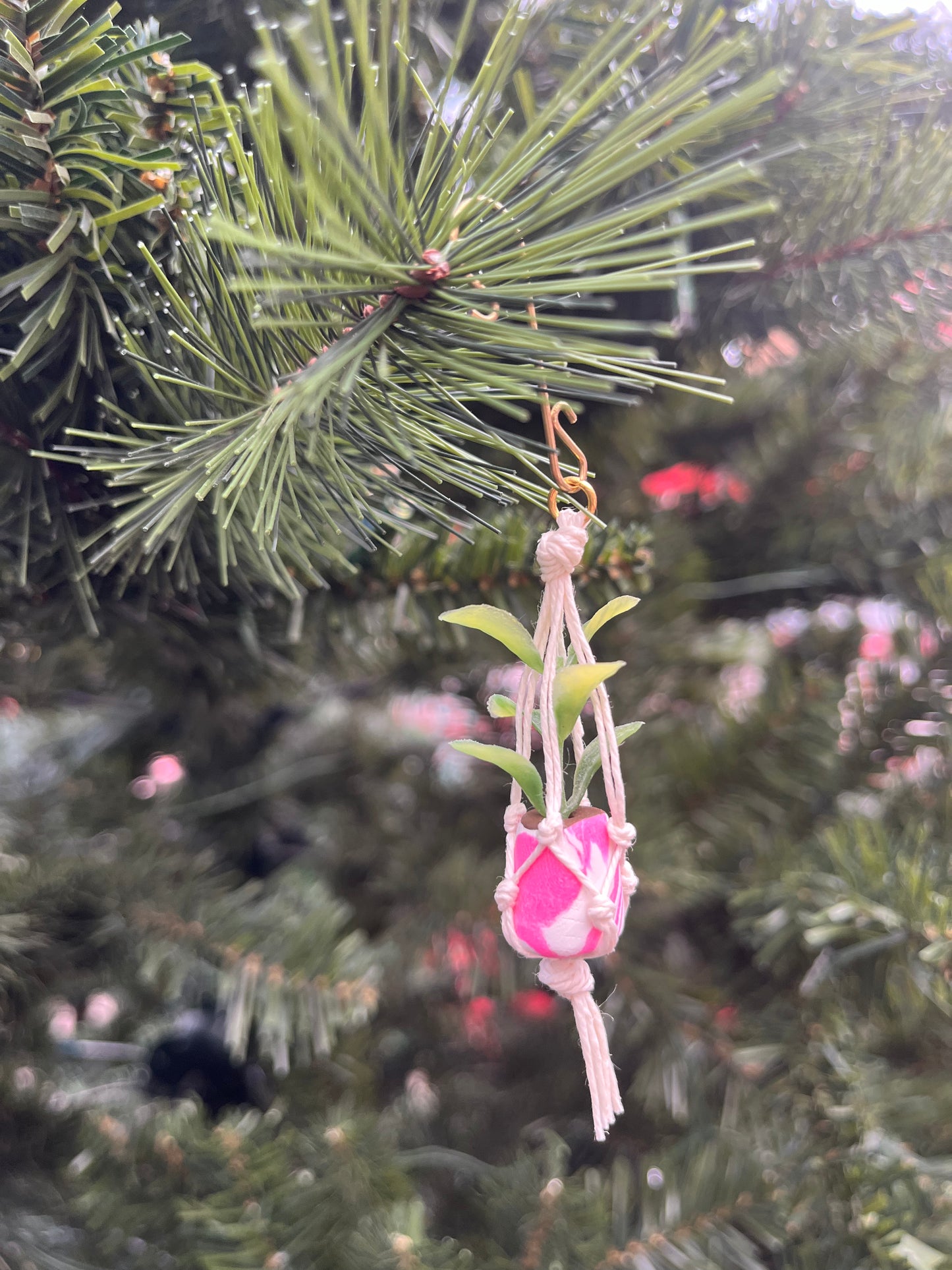 white string - mixed pot