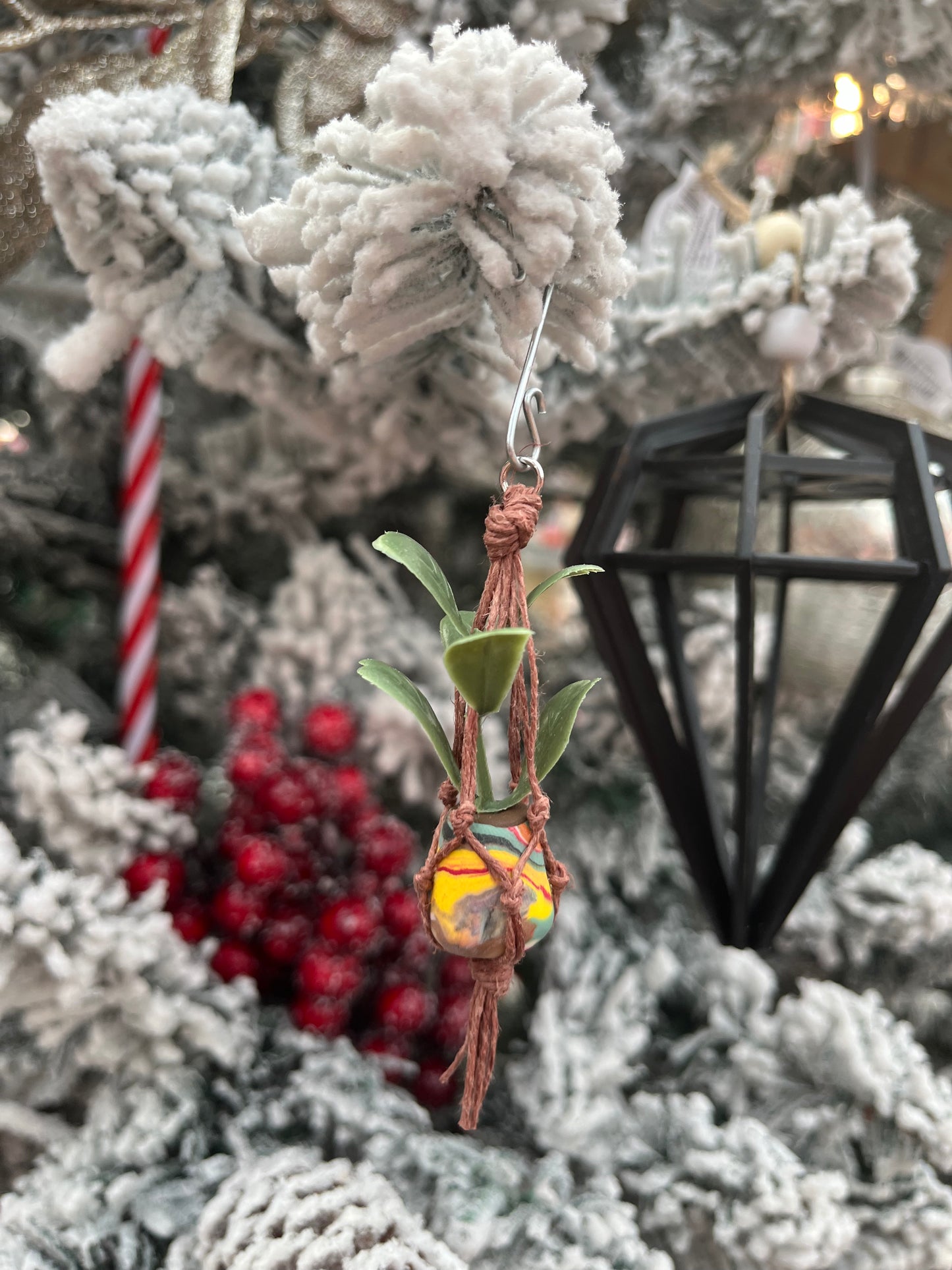 brown string - mixed pot