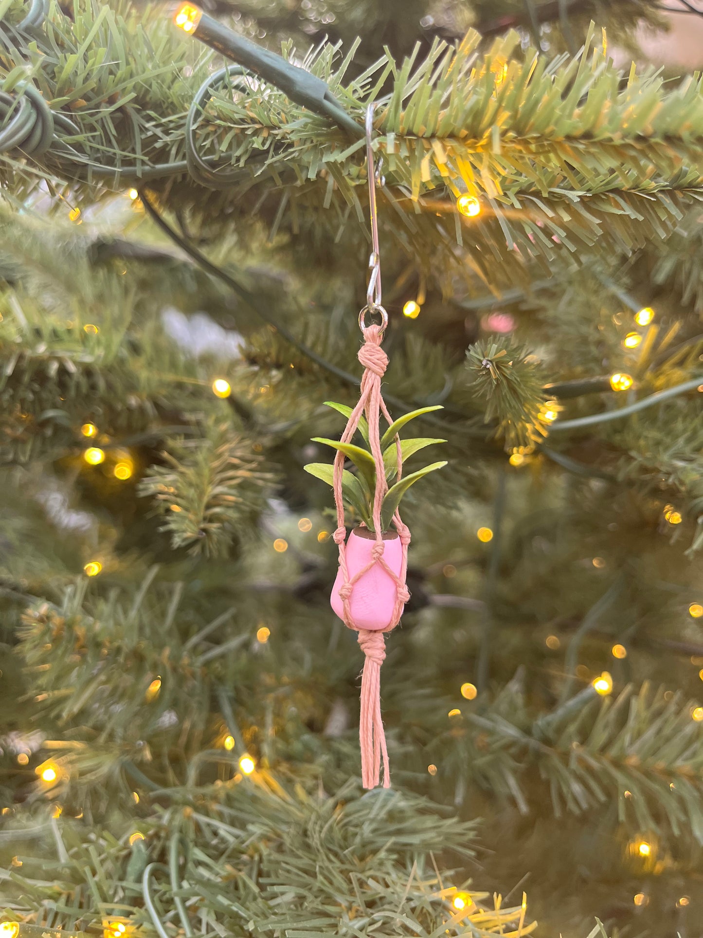 tan string - light pink pot