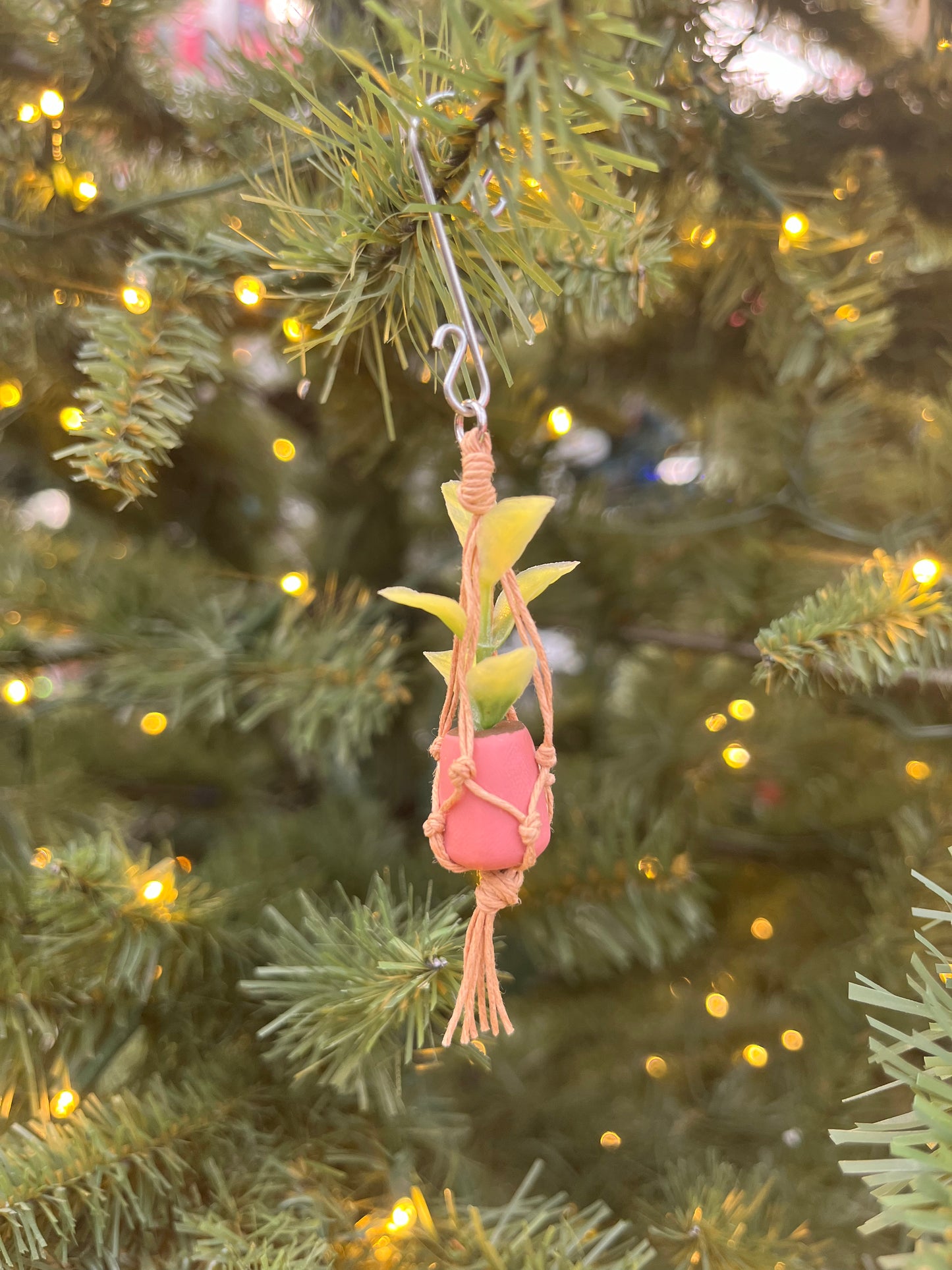 tan string - salmon pot