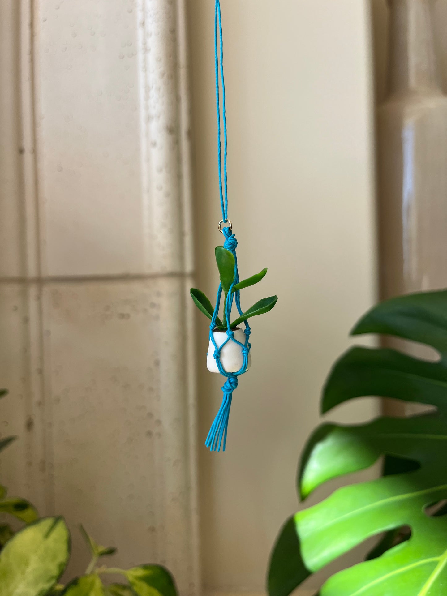 blue string - white pot