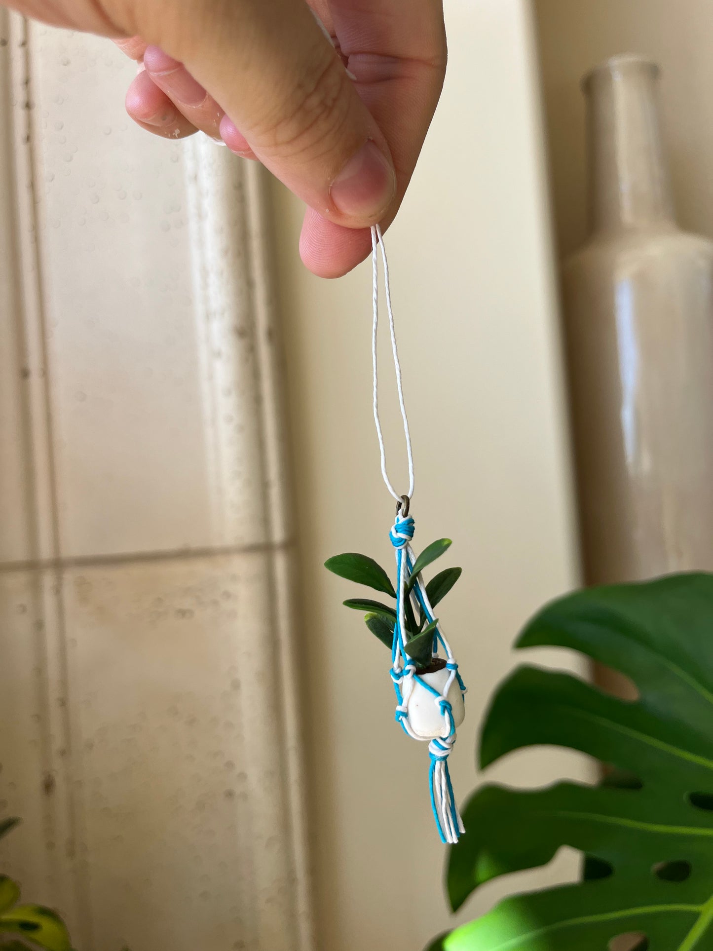 mixed string - white pot