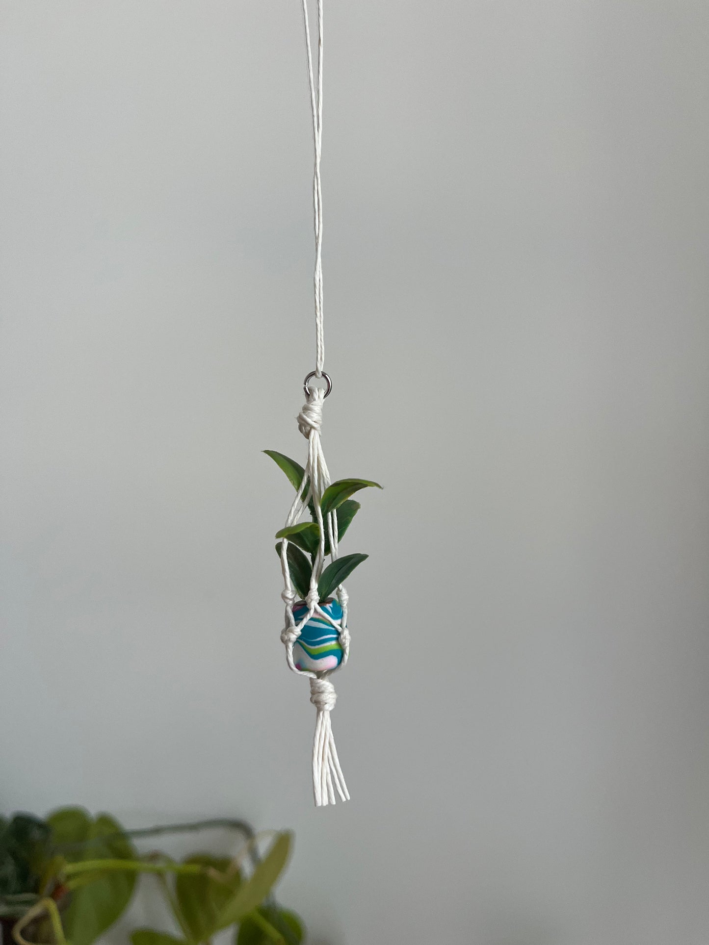 white string - mixed pot