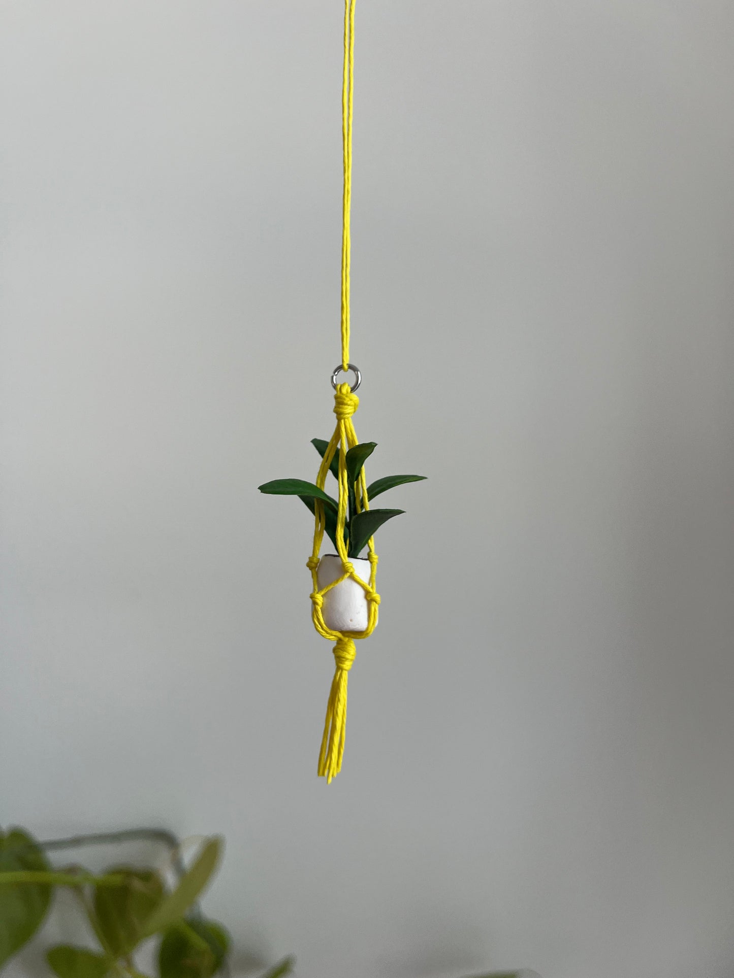 yellow string - white pot