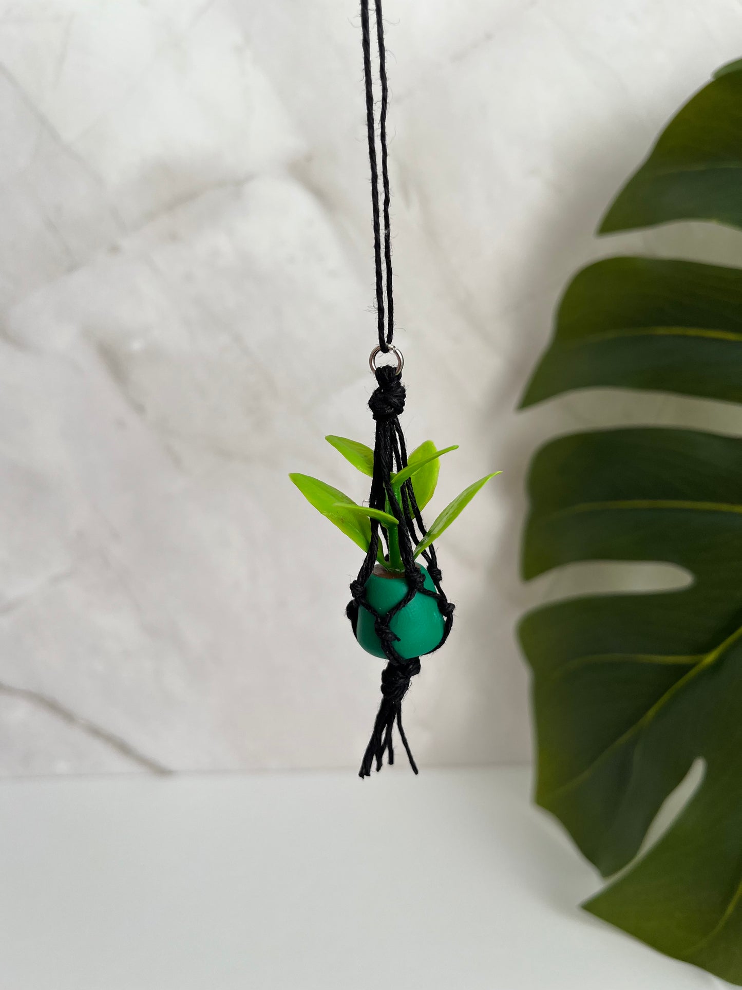 black string - green pot