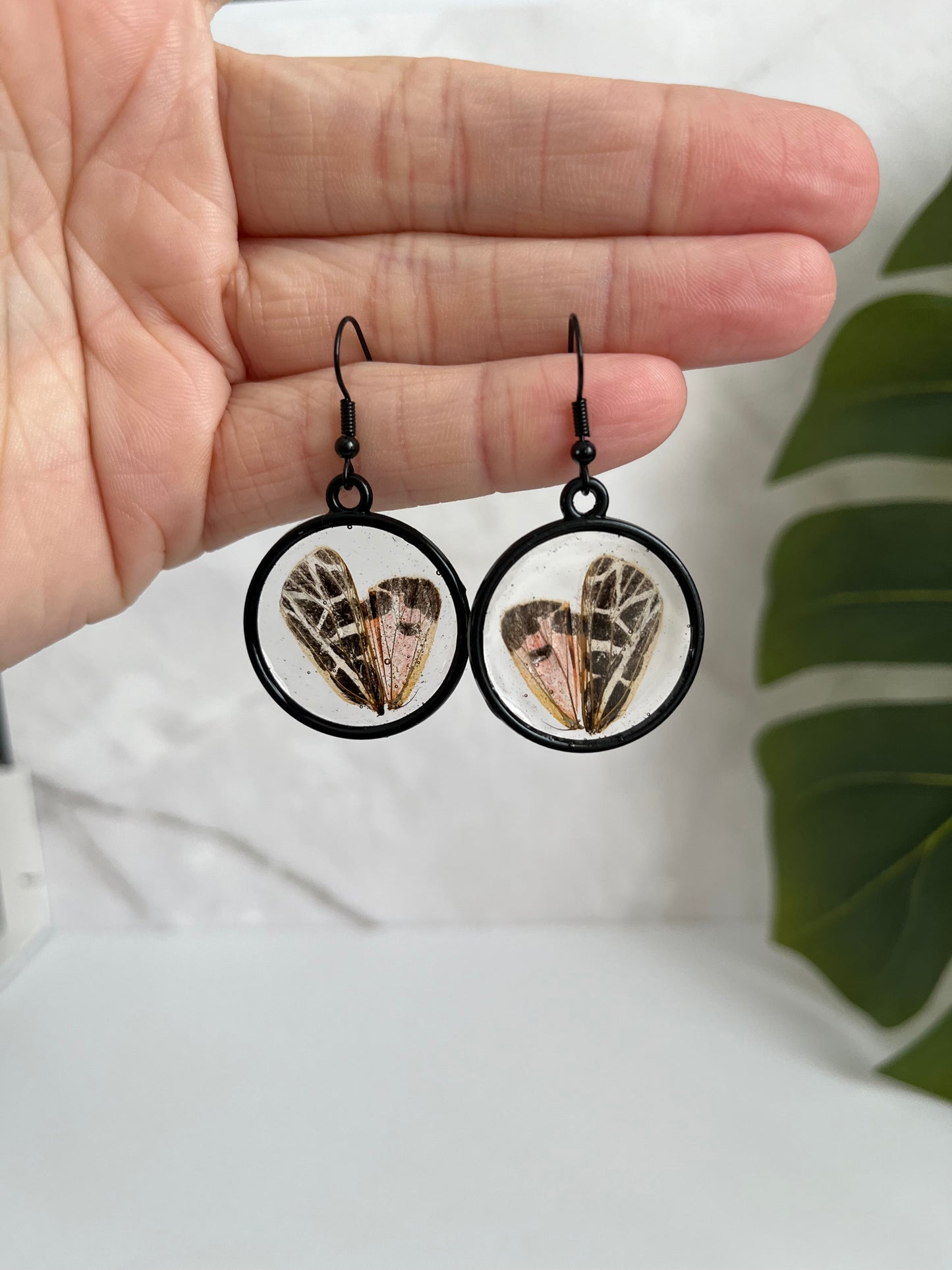 butterfly wings