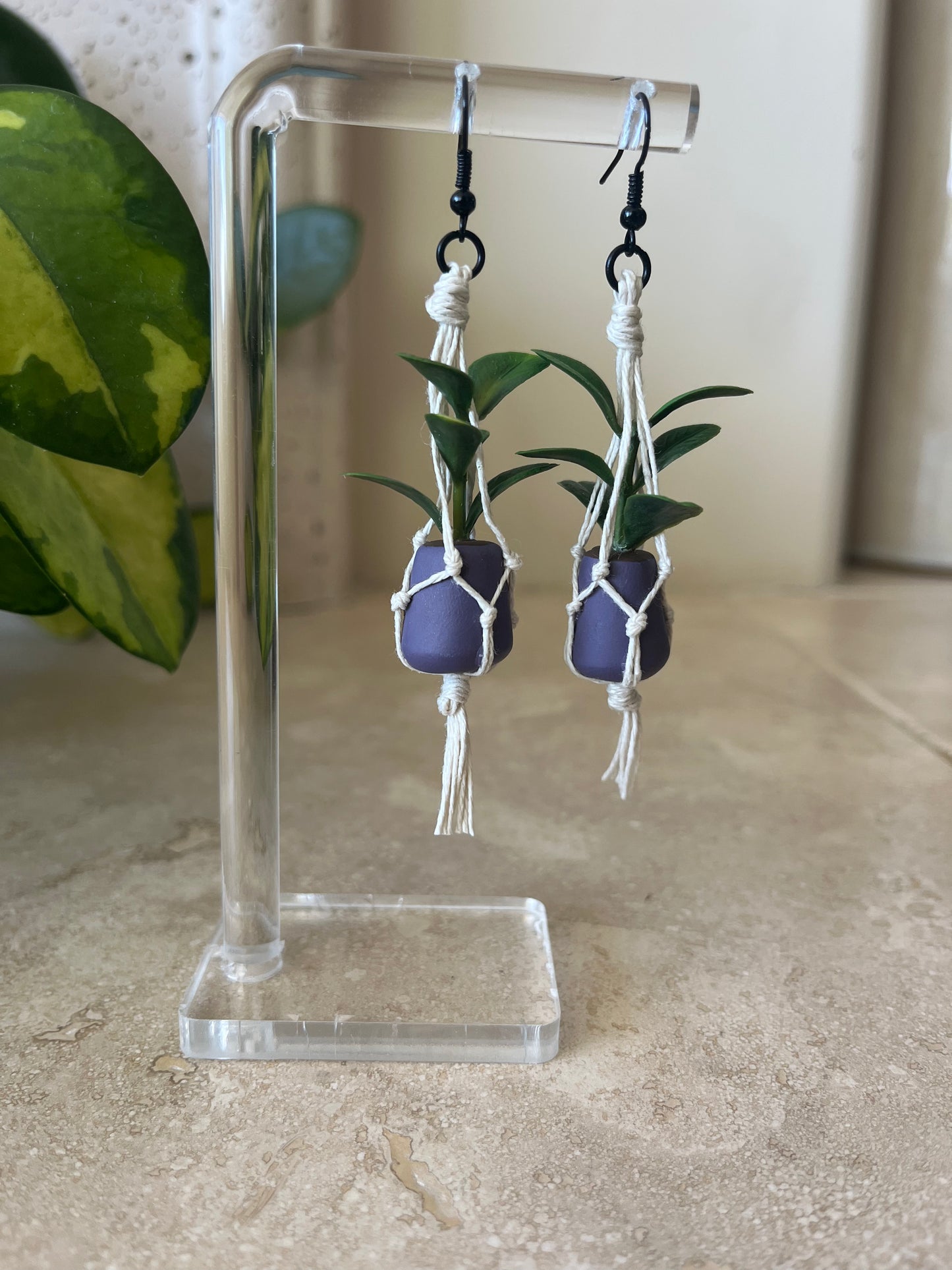 cream string - dark purple pot