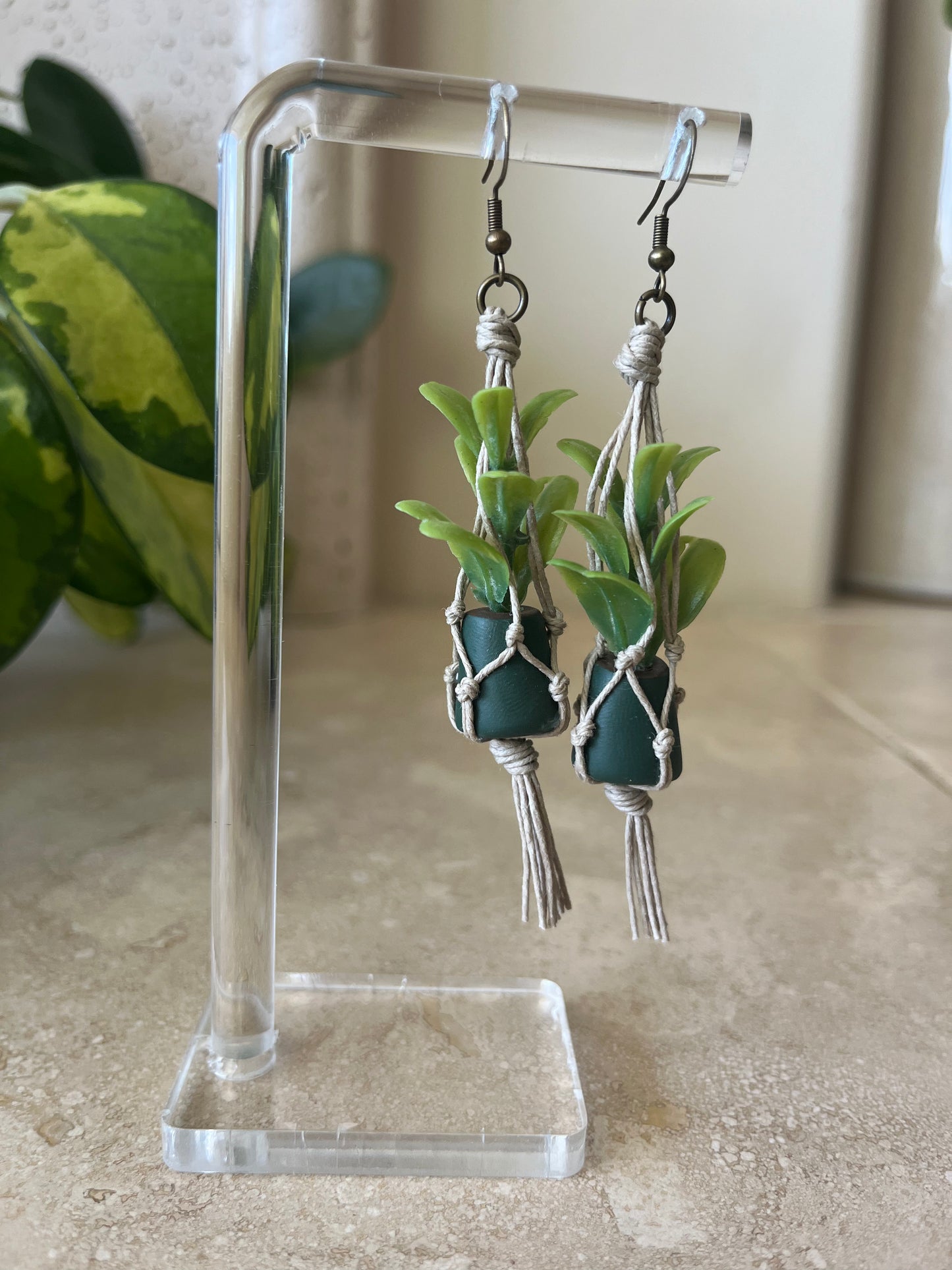 tan string - dark green pot