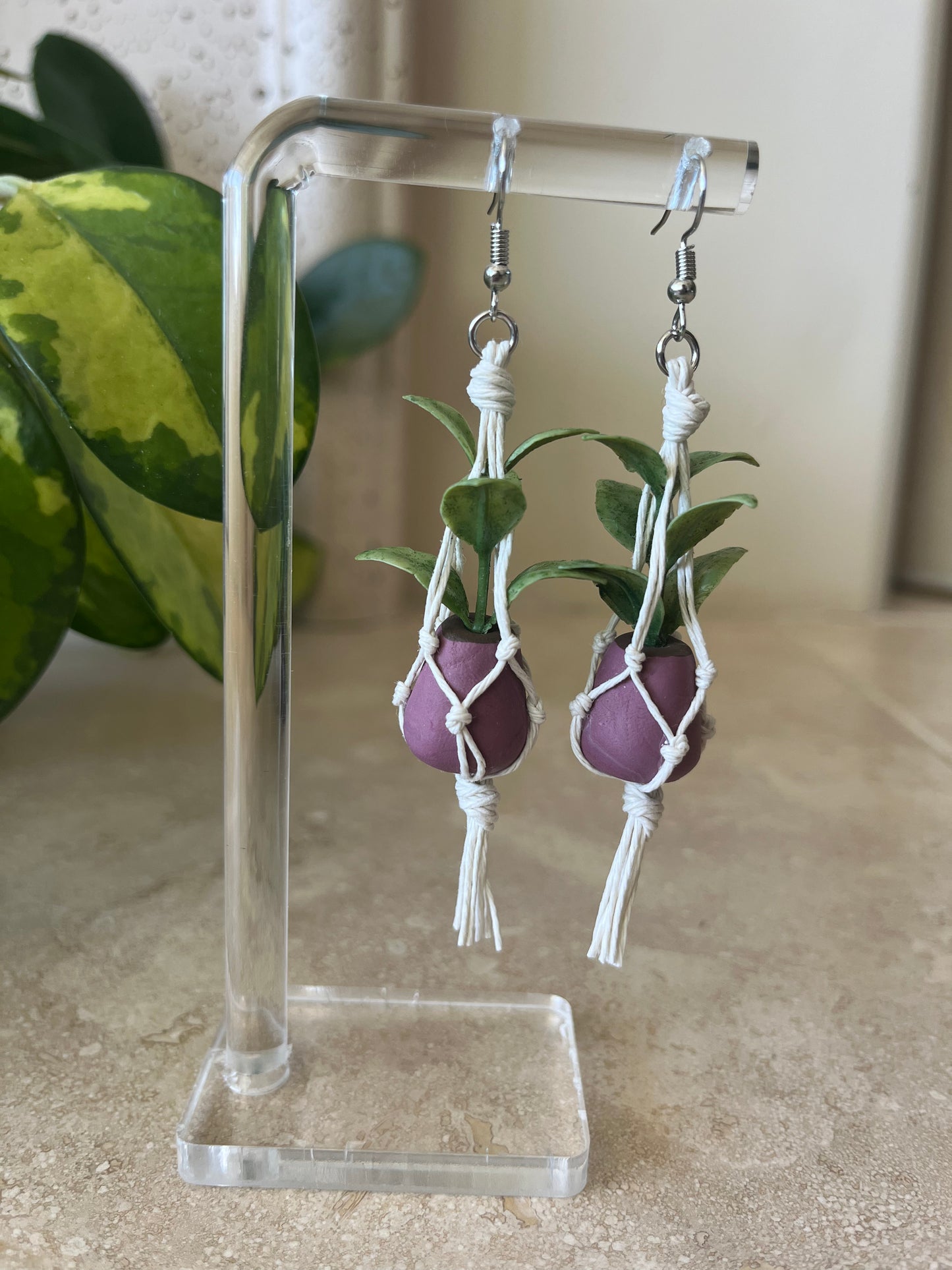 white string - mauve pot