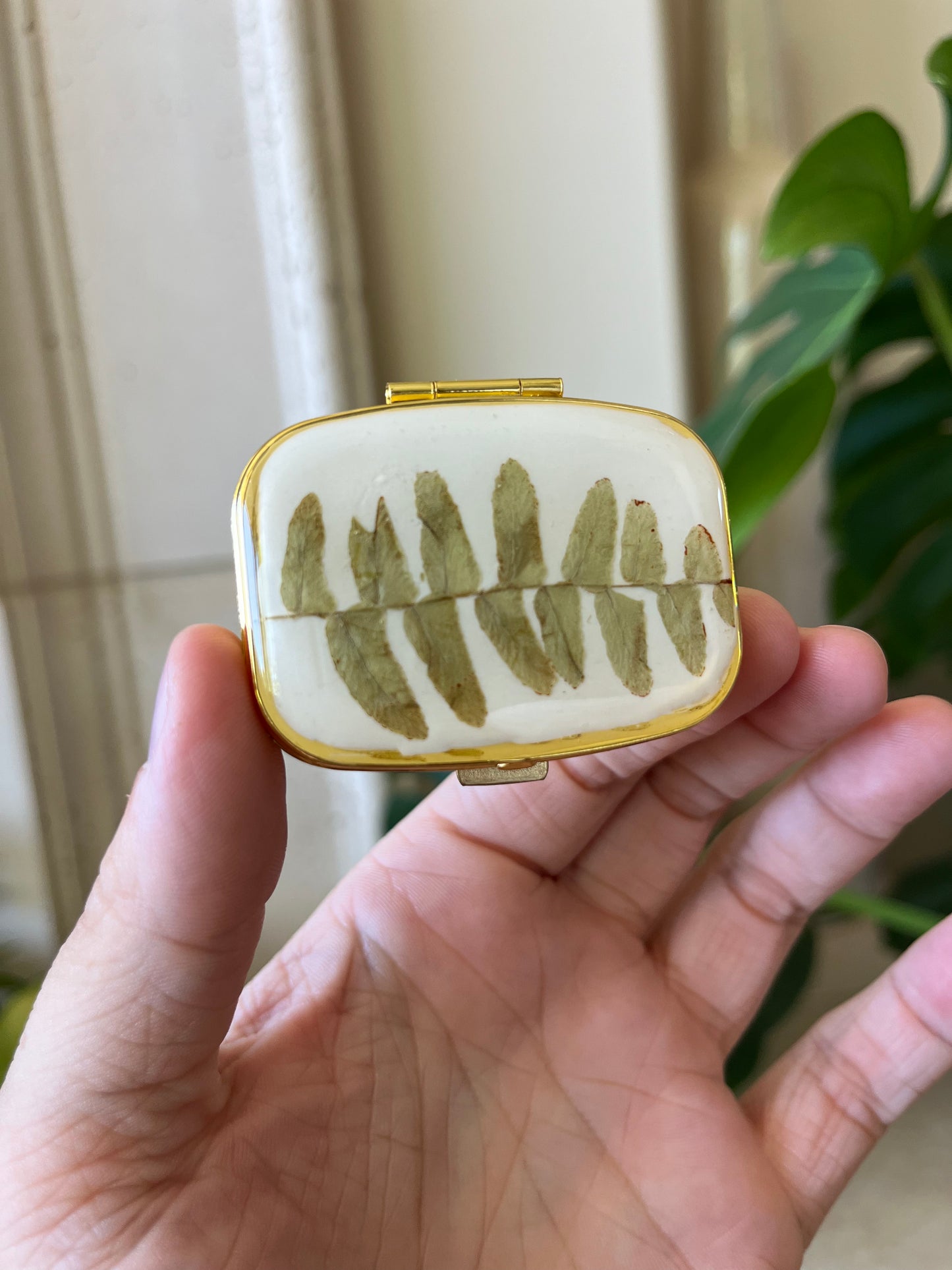 fern pill organizer