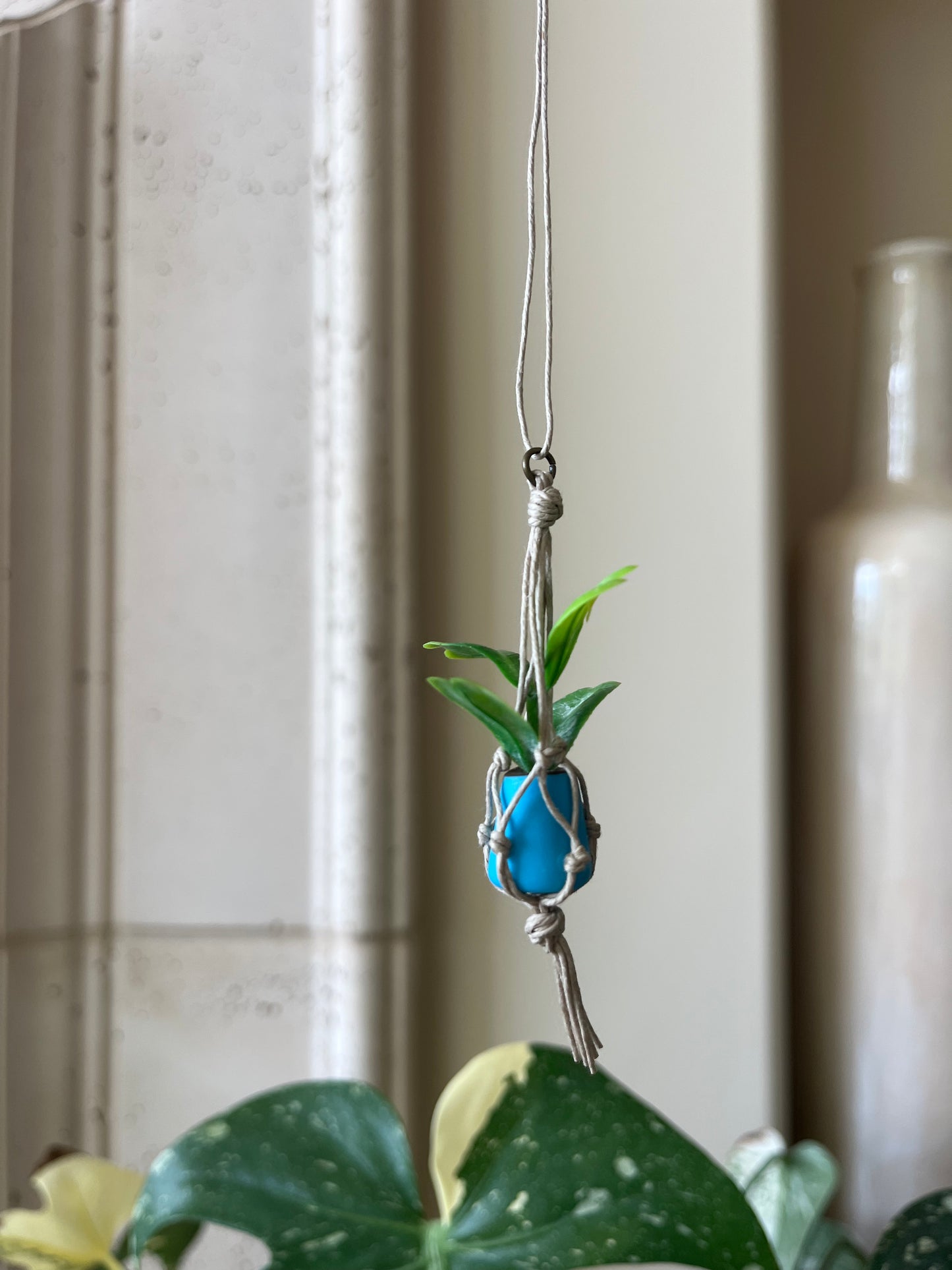 tan string - blue pot