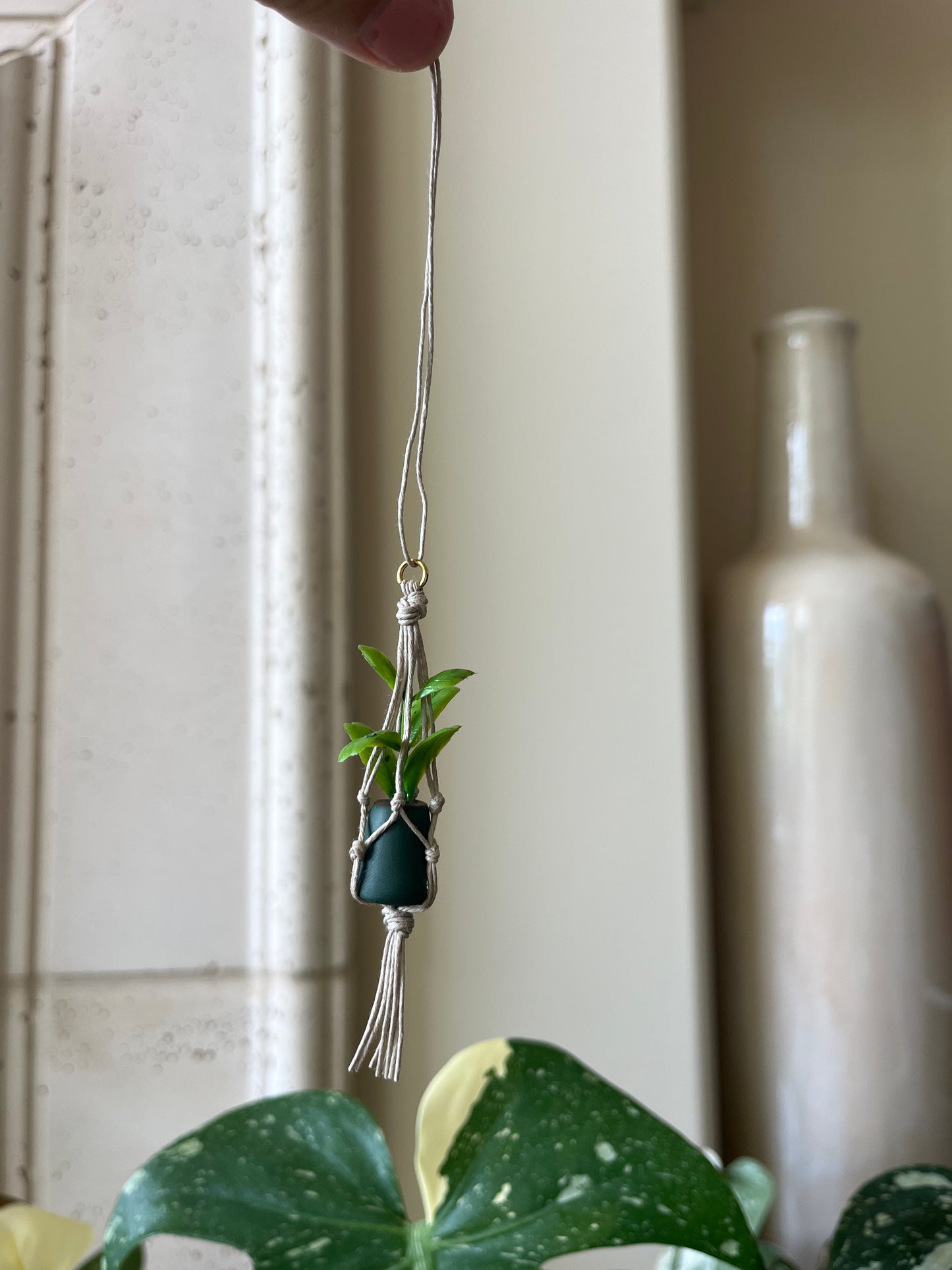 tan string - dark green pot