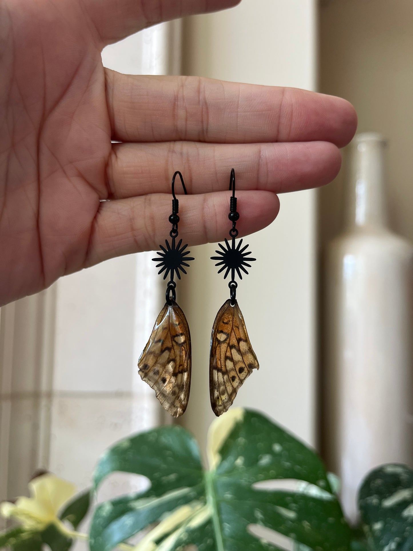 butterfly wing
