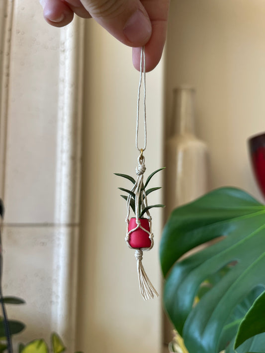 tan string - red pot