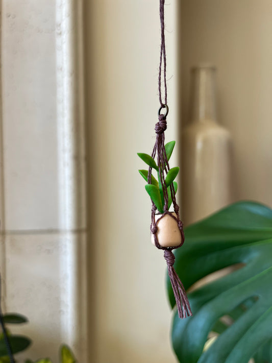 brown string - cream pot