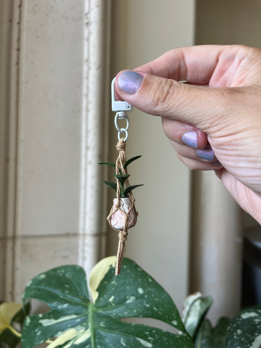 tan string - mixed pot