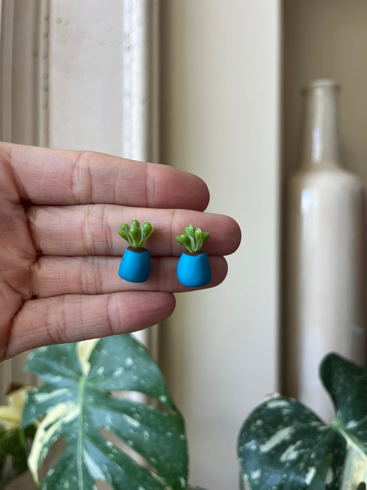 blue pot