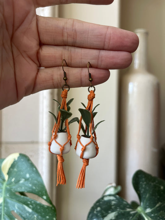 orange string - white pot