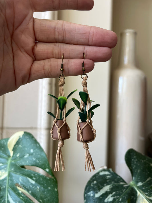 brown string - brown pot
