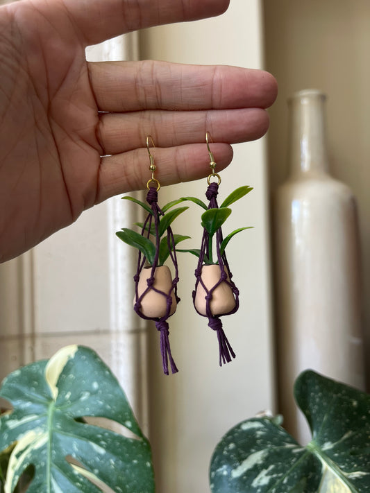 purple string - cream pot