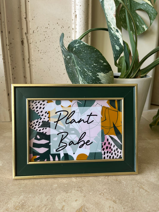 Plant babe