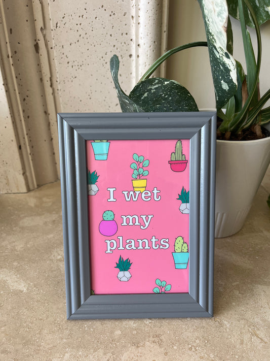 I wet my plants