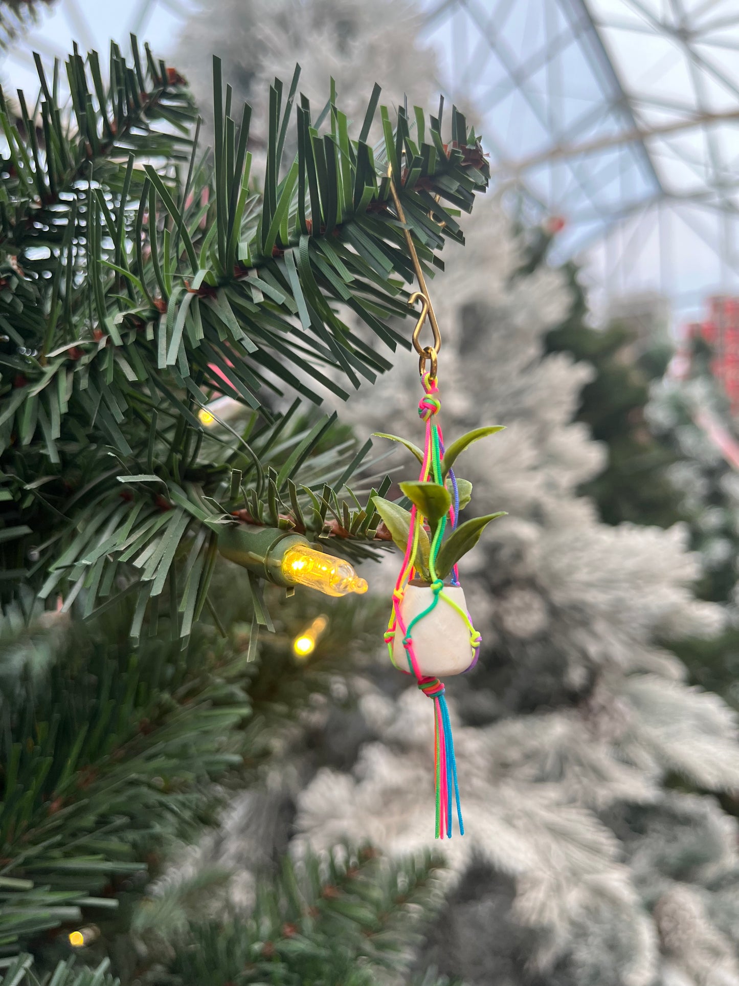 rainbow string - white pot