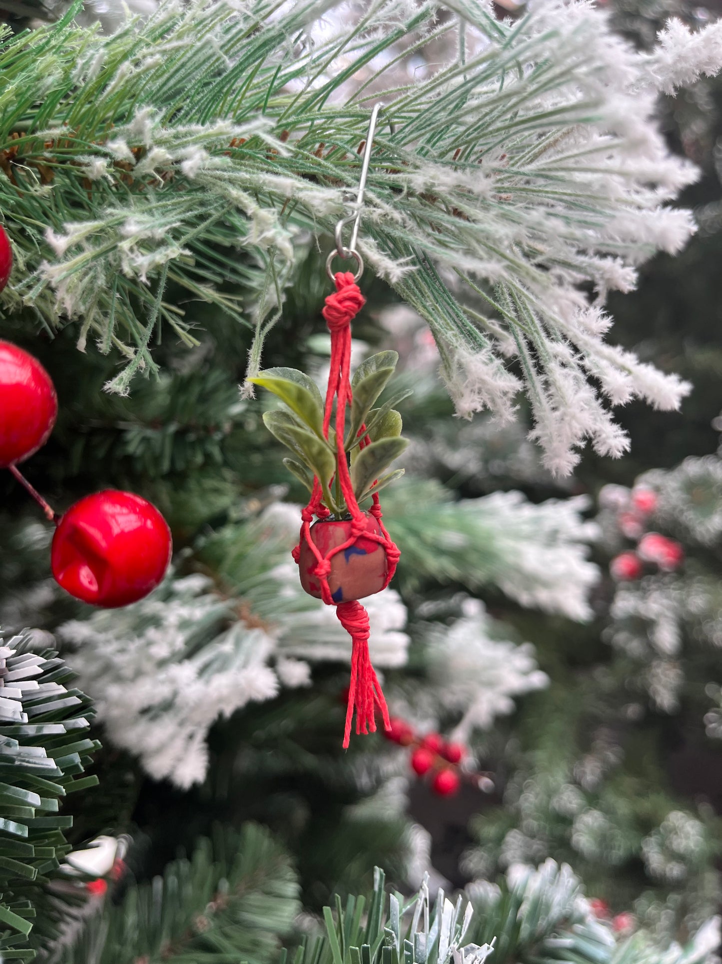 red string - mixed pot