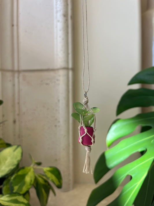 tan string - pink pot