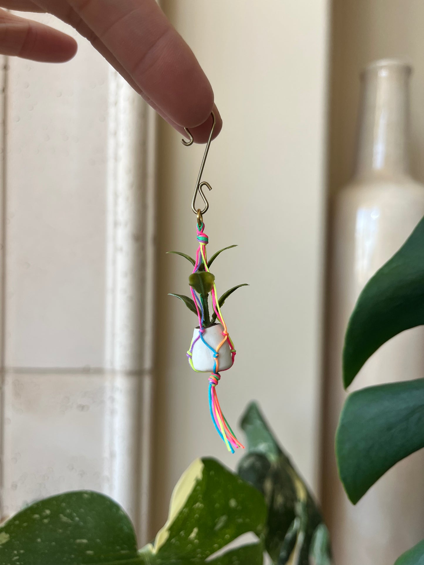 rainbow string - white pot