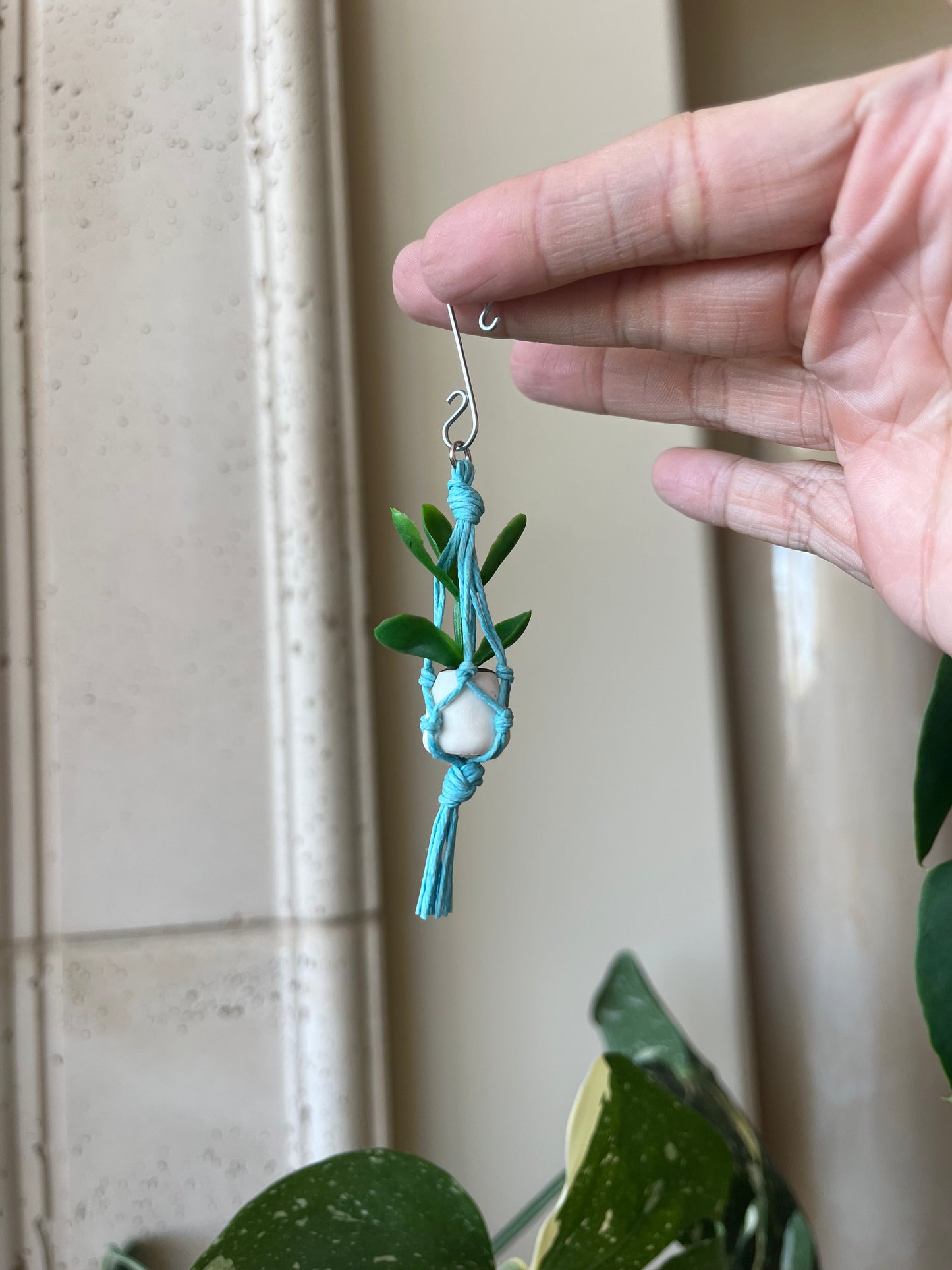 blue string - white pot