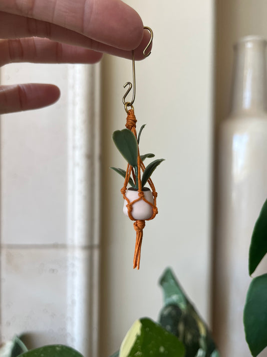 orange string - cream pot