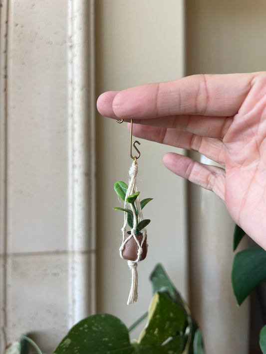 tan string - brown pot