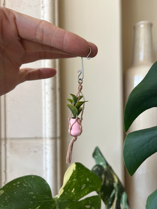 tan string - light pink pot