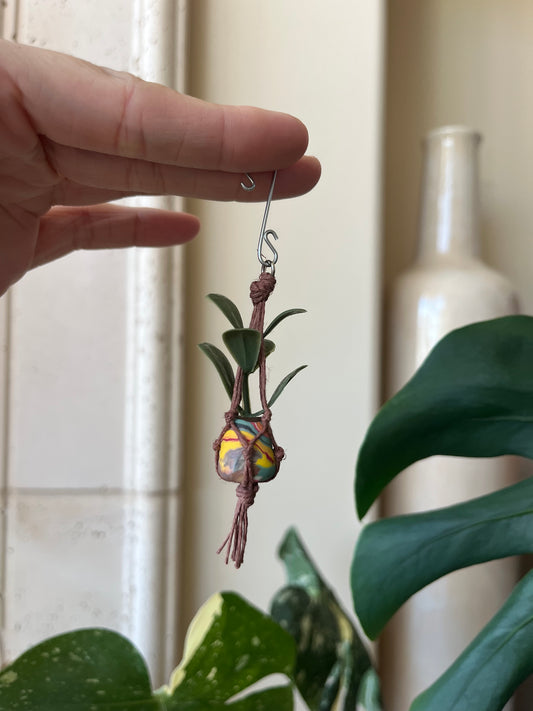 brown string - mixed pot