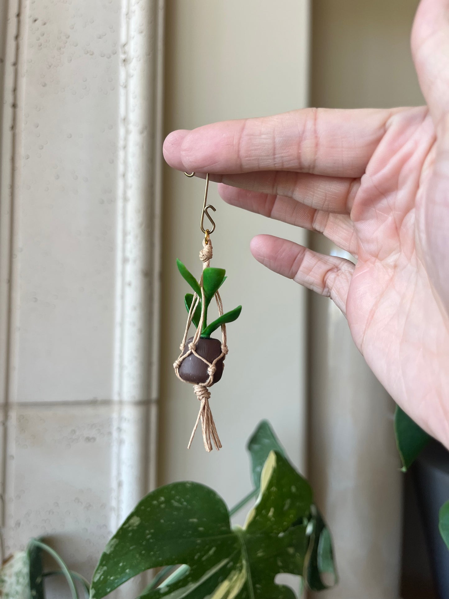 brown string - brown pot