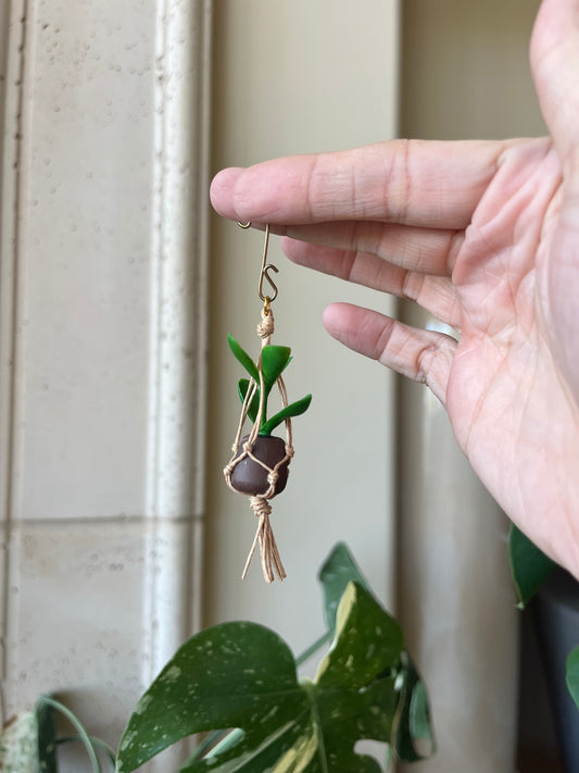 brown string - brown pot