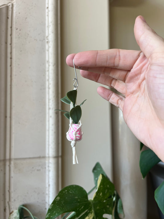 white string - mixed pot