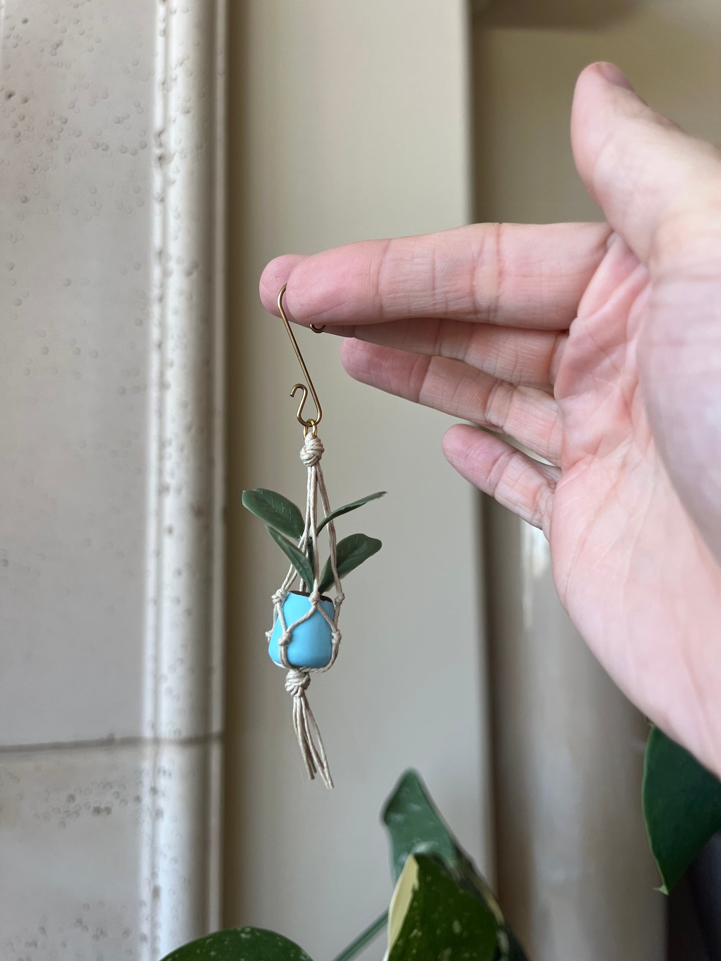 tan string - blue pot