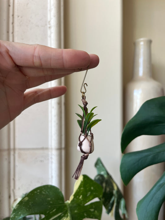 mixed string - cream pot